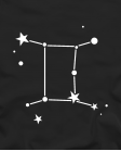 Zodiakas Dvyniai